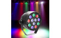 Мультицвет 12 LED DMX