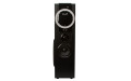 Комплект 2 колонки 08" 20-81 HOME SOUND (черная)
