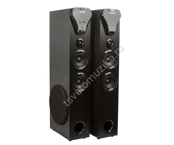 Комплект 2 колонки 10" 20-80 HOME SOUND  (черн)