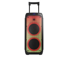 Колонка 10" 20-18 FIRE BOX 1000 динамик 2шт/10"  с TWS