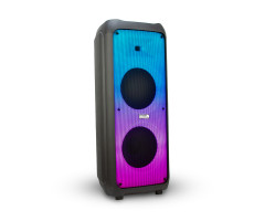 Колонка 12" 20-56 динамик 2шт/12" черная ElTRONIC с TWS