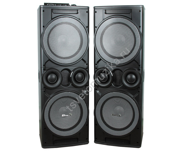 Колонка 12" (20-06 TWIN BOX) динамик 4шт/12" комплект 2 колонки ElTRONIC