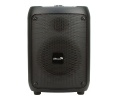 Колонка 05" 20-39 CRAZY BOX 120 динамик 1шт/5.25"  с TWS