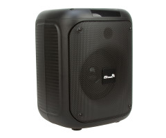 Колонка 05" 20-45 CRAZY BOX 150 динамик 1шт/5.25"  с TWS