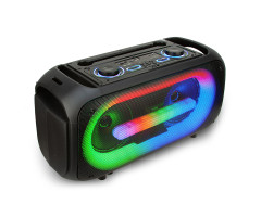 Колонка 06" 20-30 DANCE BOX 250 динамик 2шт/6.5"  с TWS