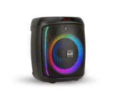 Колонка 08" 20-69 DANCE BOX динамик 1шт/8"  с TWS