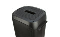 Колонка 06" (20-34 DANCE BOX 300) динамик 2шт/6.5"  с TWS