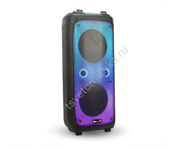 Колонка 10" (20-62 FIRE BOX 1000) динамик 2шт/10"  с TWS