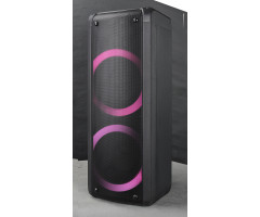 Колонка 20-10 DANCE BOX 300