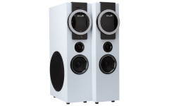 Колонка 20-81 HOME SOUND Колонка 20-81 HOME SOUND