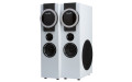 Колонка 20-81 HOME SOUND