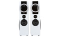Колонка 20-81 HOME SOUND