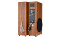 Колонка 20-82 HOME SOUND  бук