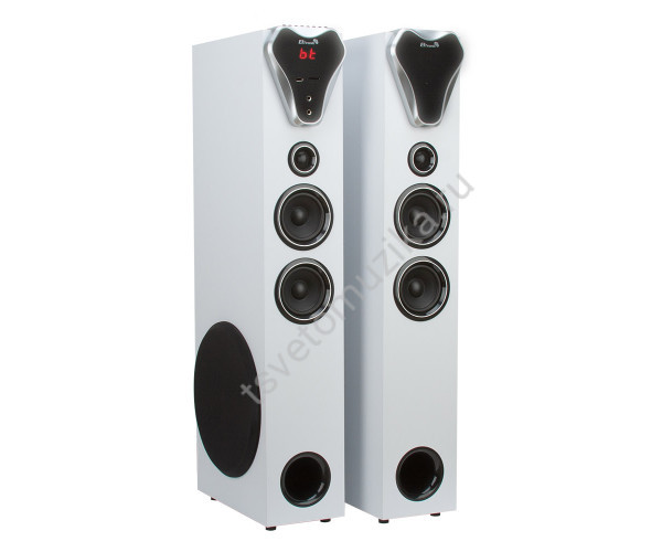 Колонка 20-80 HOME SOUND