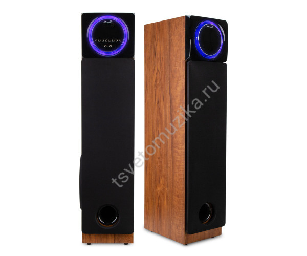 Колонка 30-58 HOME SOUND